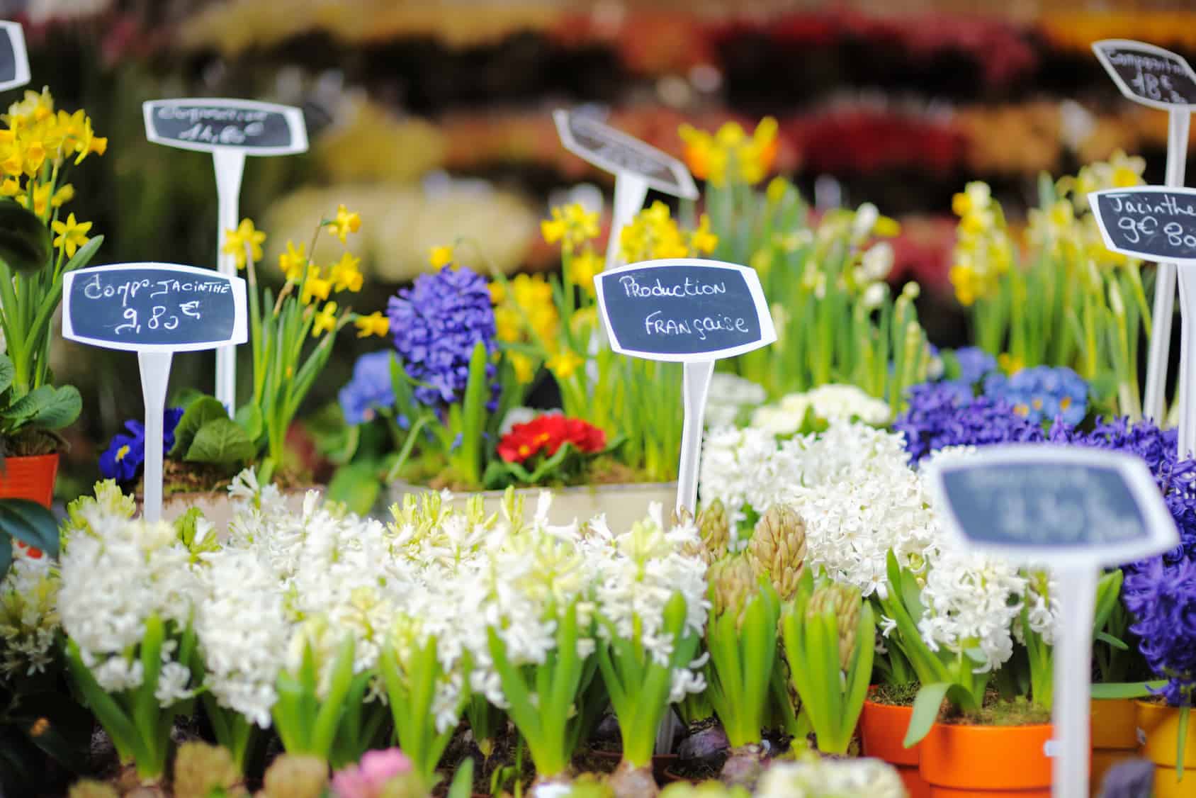 Pricing Flowers from France