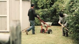 working-with-first-lawn-care-employee
