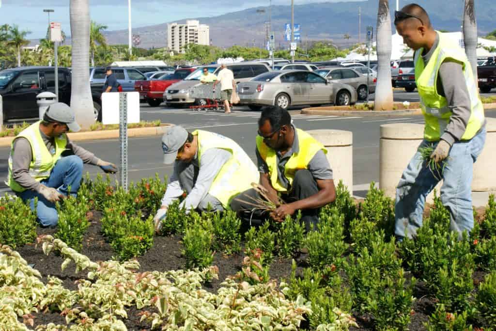 Lawn-Service-Crew-tends-to-flowers