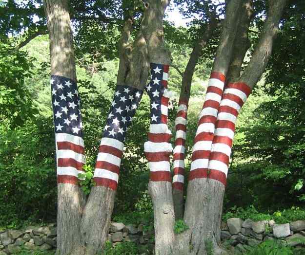 Trees painted with American flag