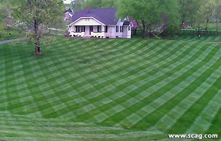 Checkered Lawn Stripes