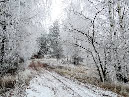 snowy-wonderland
