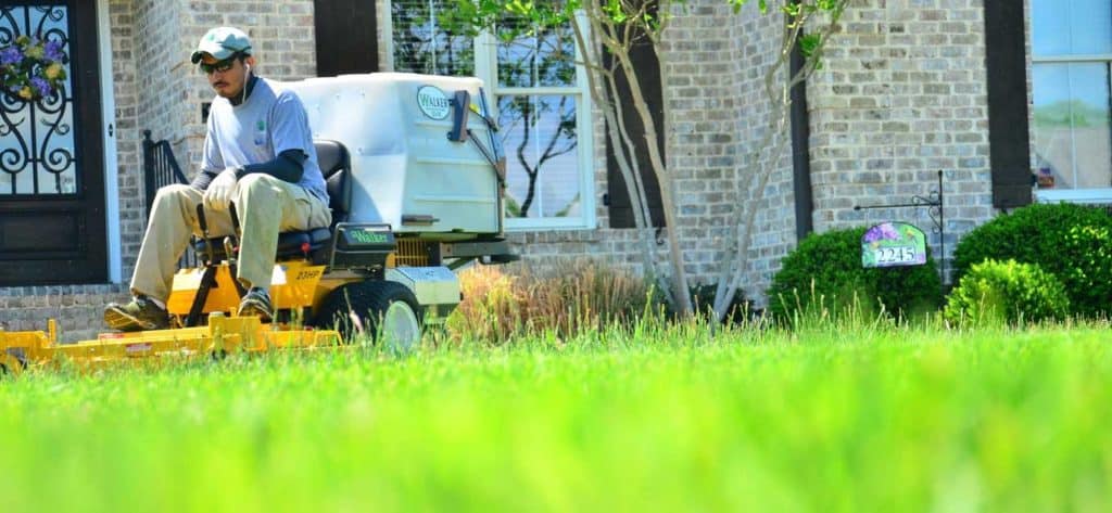 employee mowing lawn