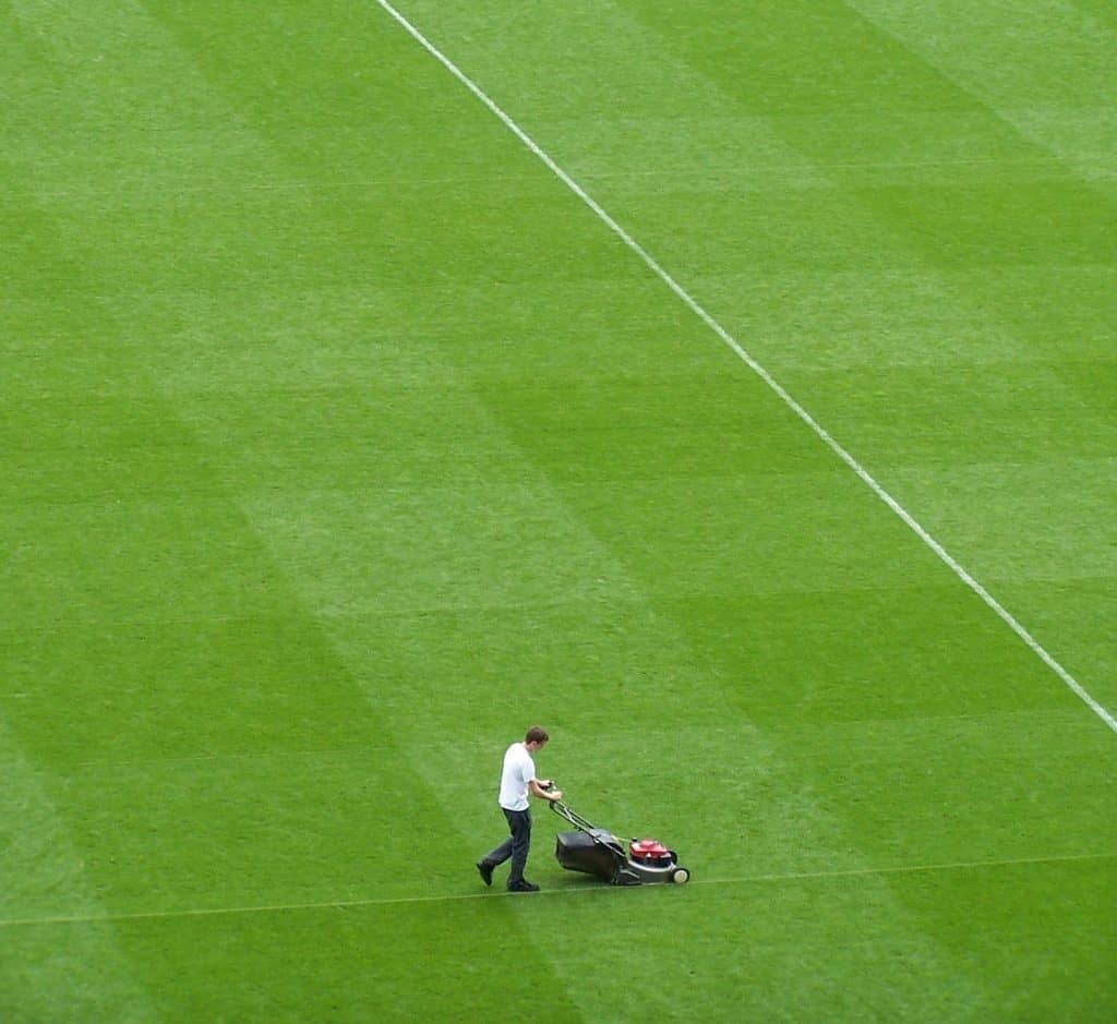 lawn-mower-play-field