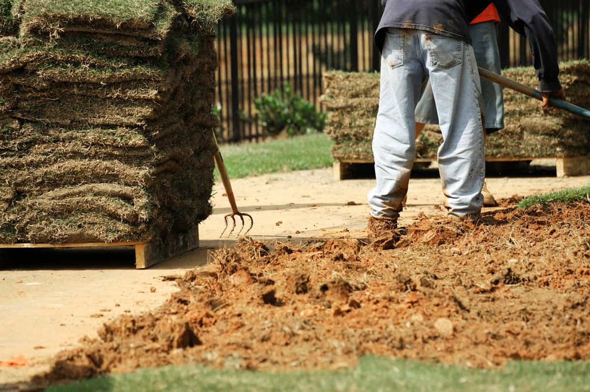installing grass turf