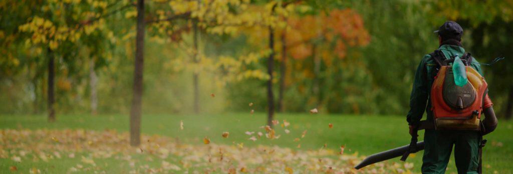 lawn worker leaf blower