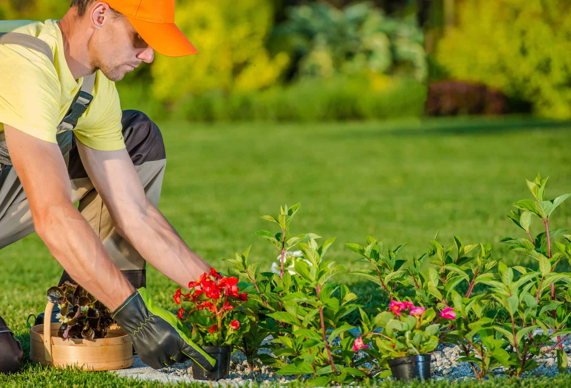 Planting New Flowers Service Autopilot